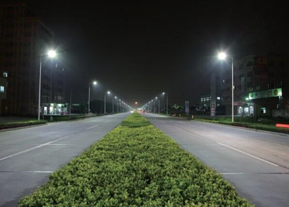 浙江瑞安市建城区路灯设施节能改造项目